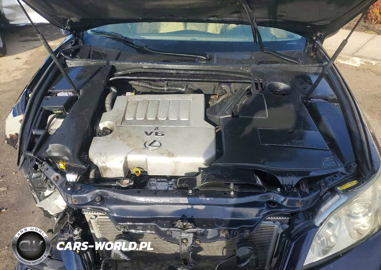 2009 Lexus Es 350 VIN:JTHBJ46G492289885 - 11