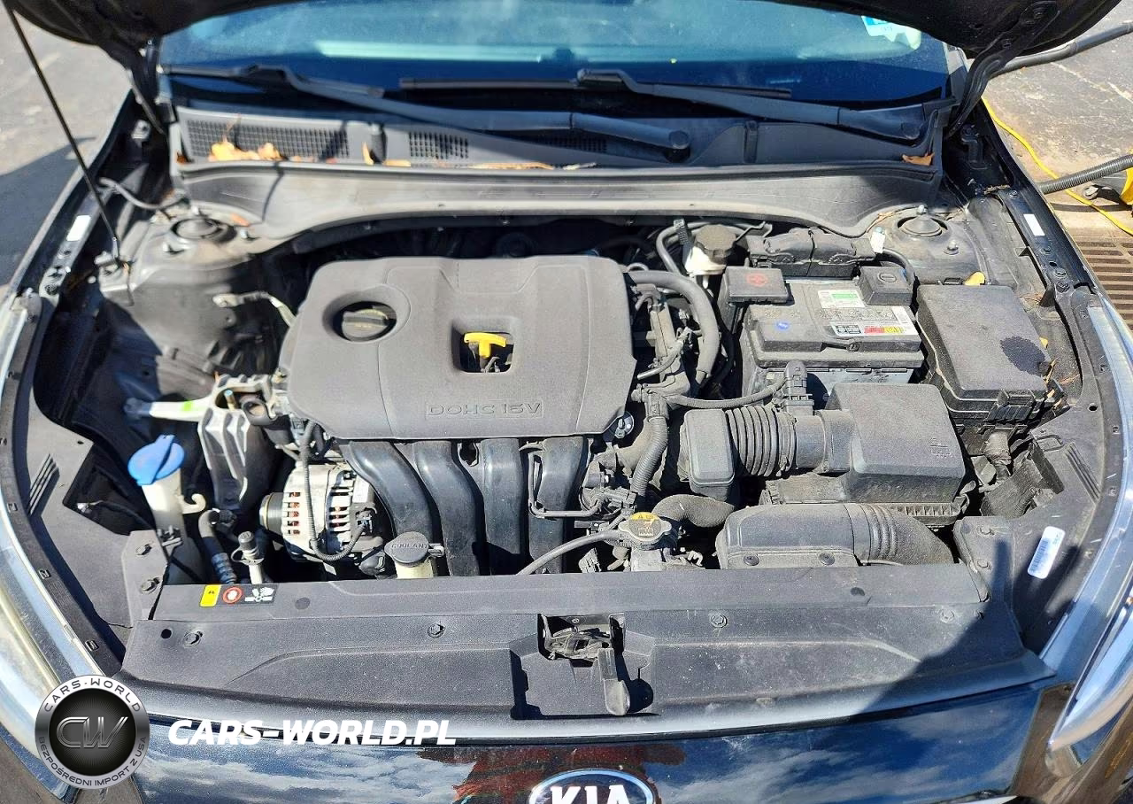 2019 Kia Forte Lxs VIN:3KPF24AD8KE032671 - 11