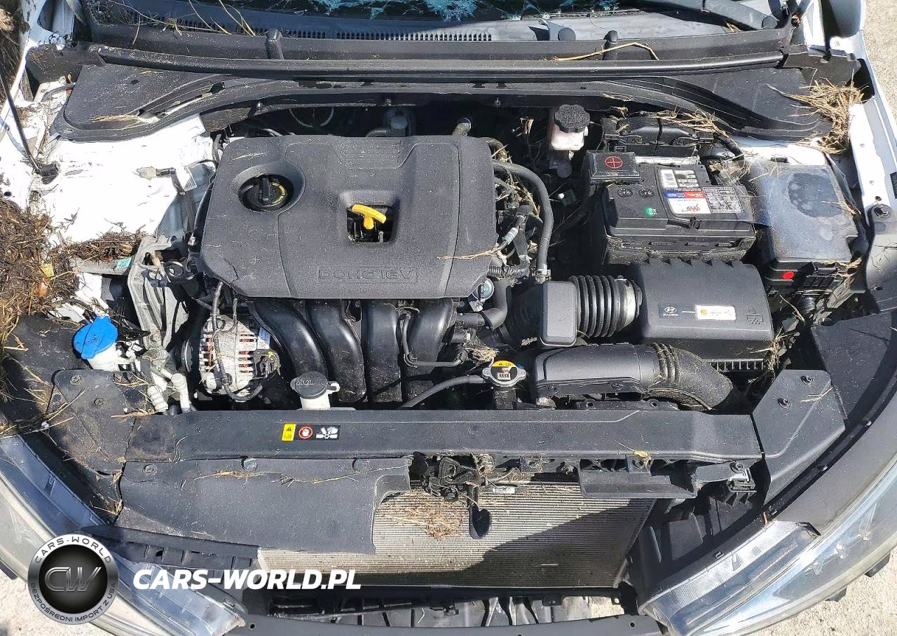2019 Hyundai Elantra Se VIN:5NPD84LF8KH475743 - 11