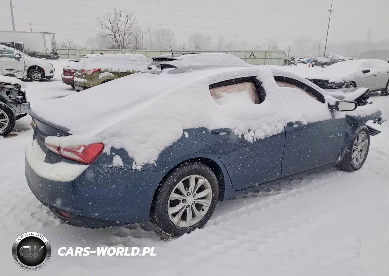 2019 Chevrolet Malibu Lt VIN:1G1ZD5ST2KF141662 - 3