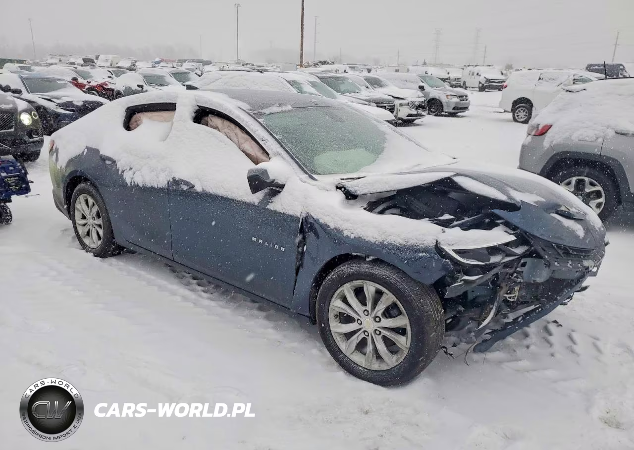 2019 Chevrolet Malibu Lt VIN:1G1ZD5ST2KF141662 - 4