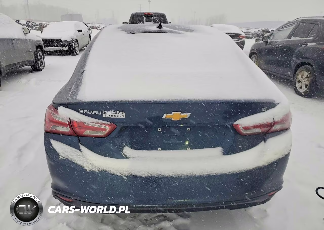 2019 Chevrolet Malibu Lt VIN:1G1ZD5ST2KF141662 - 6