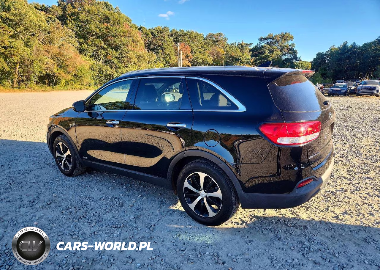 2017 Kia Sorento Ex VIN:5XYPHDA10HG258790 - 2