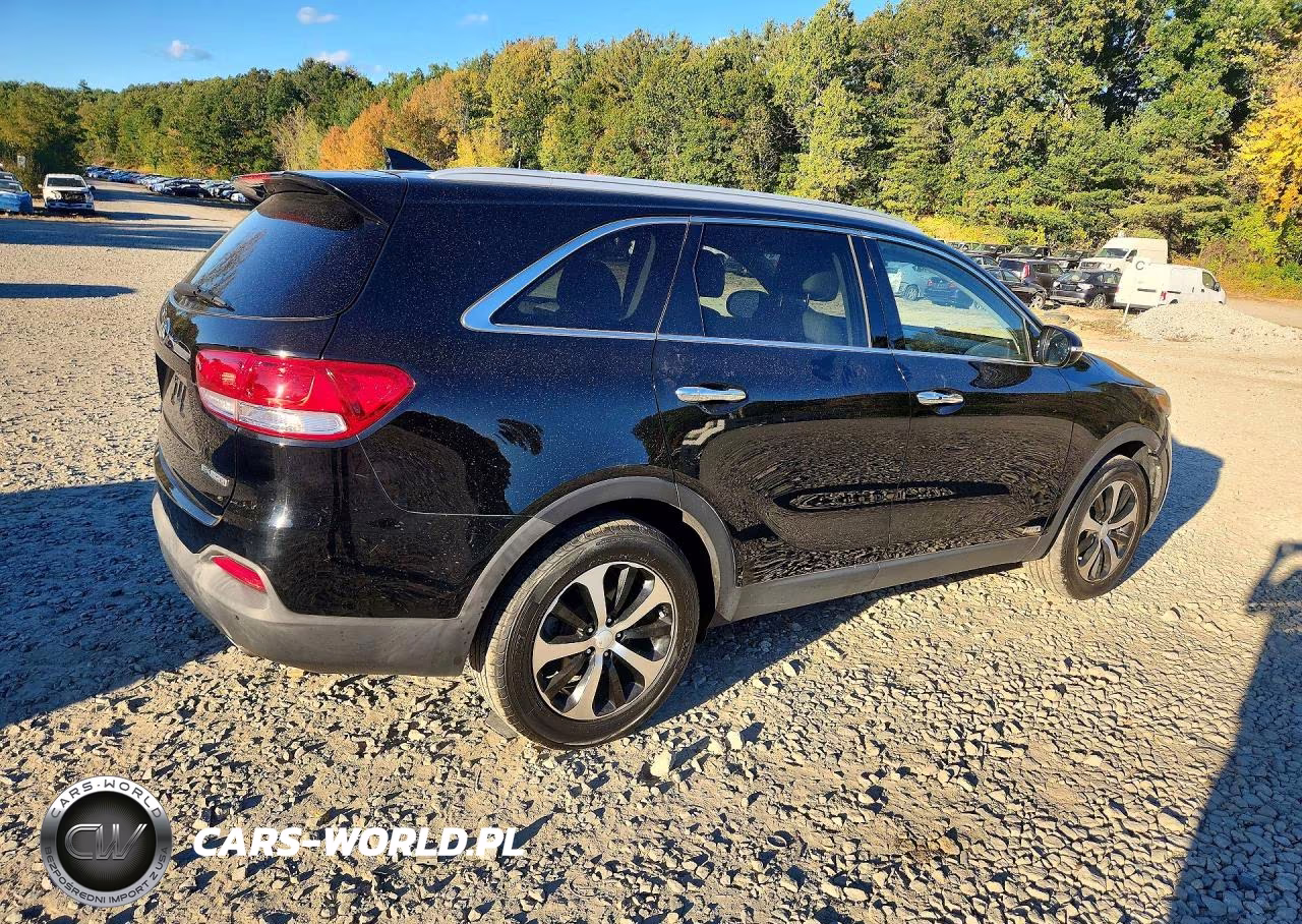 2017 Kia Sorento Ex VIN:5XYPHDA10HG258790 - 3
