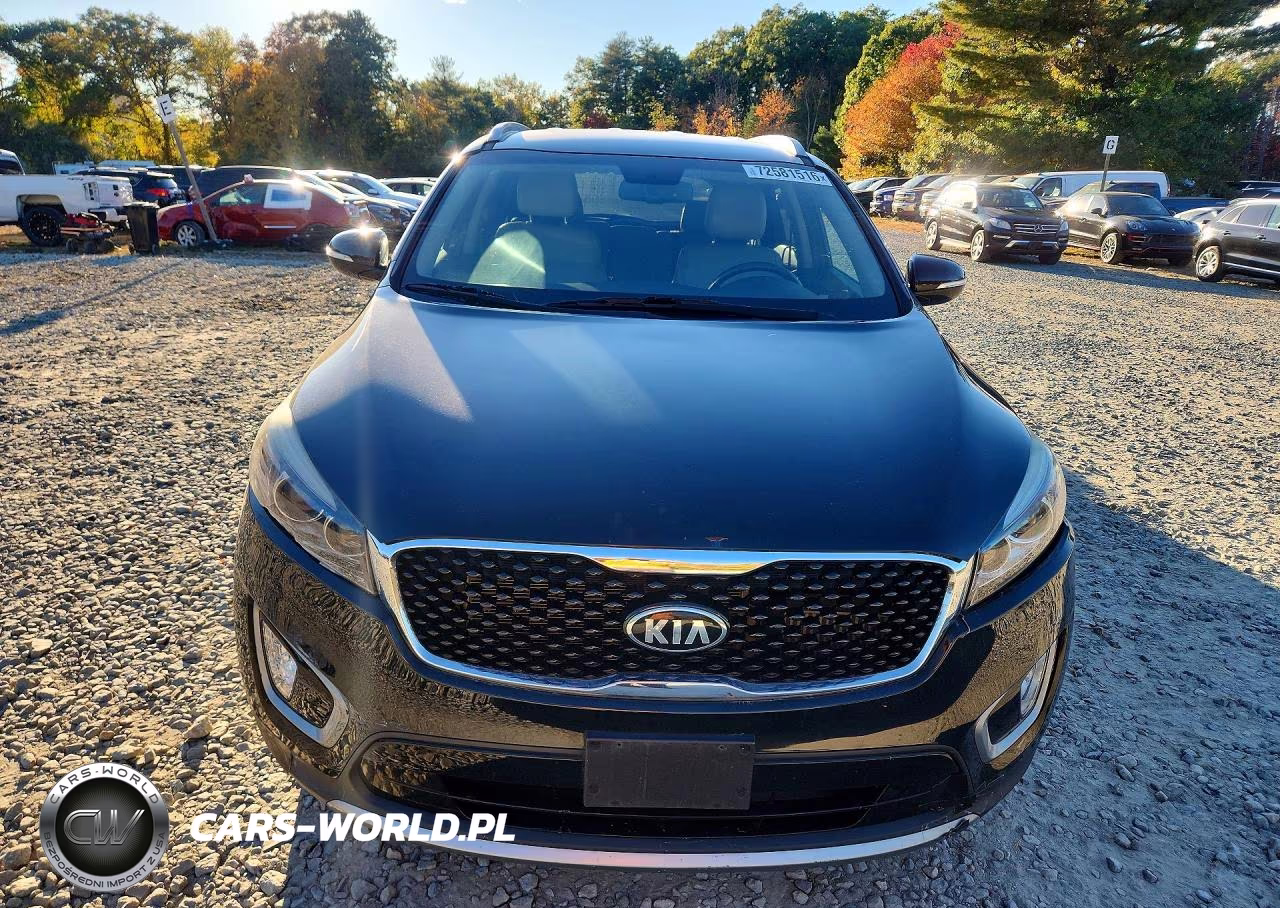 2017 Kia Sorento Ex VIN:5XYPHDA10HG258790 - 5