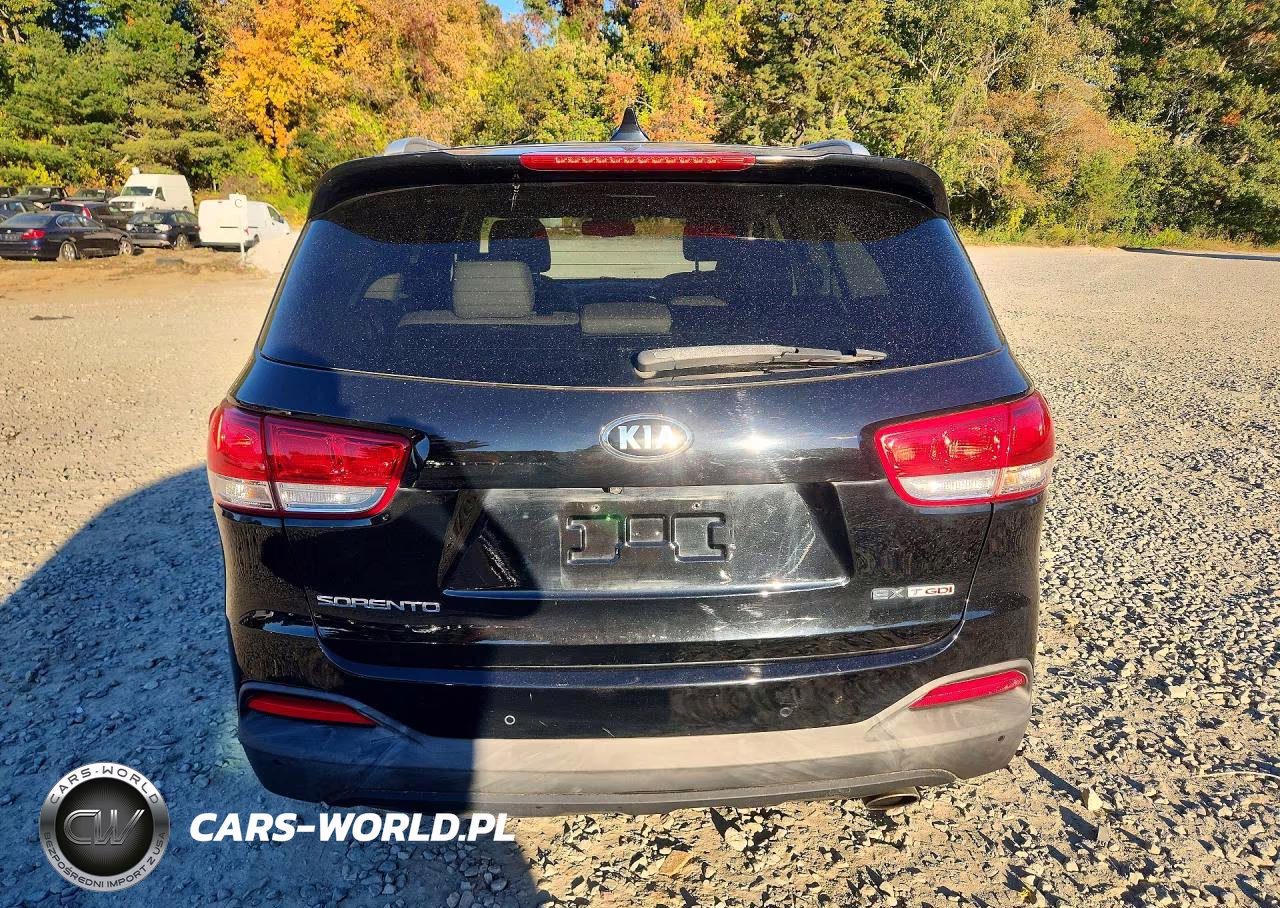 2017 Kia Sorento Ex VIN:5XYPHDA10HG258790 - 6