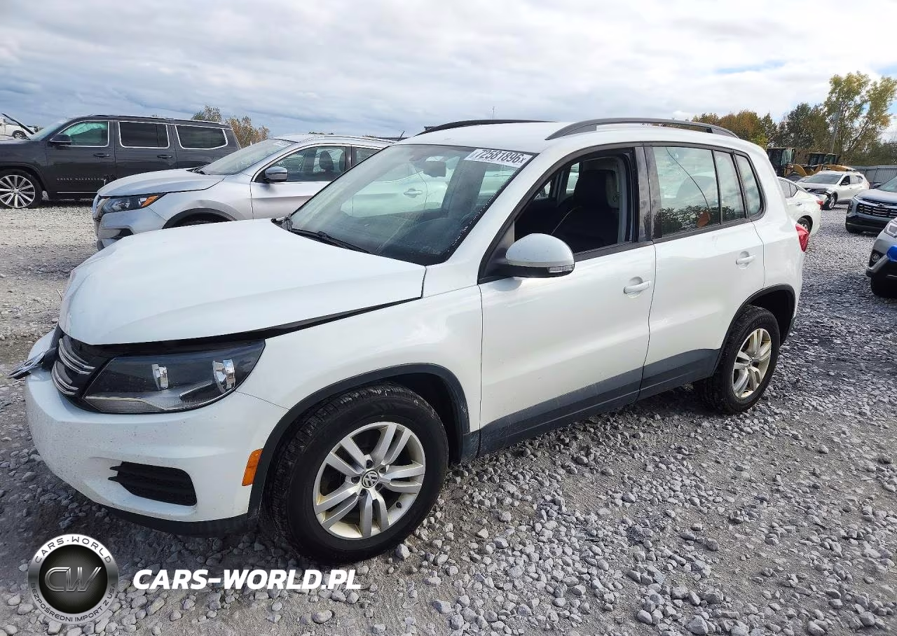 2016 Volkswagen Tiguan S VIN:WVGBV7AX8GW577196 - 1