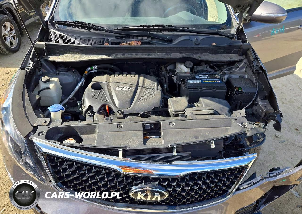 2014 Kia Sportage Lx VIN:KNDPBCAC4E7643484 - 12