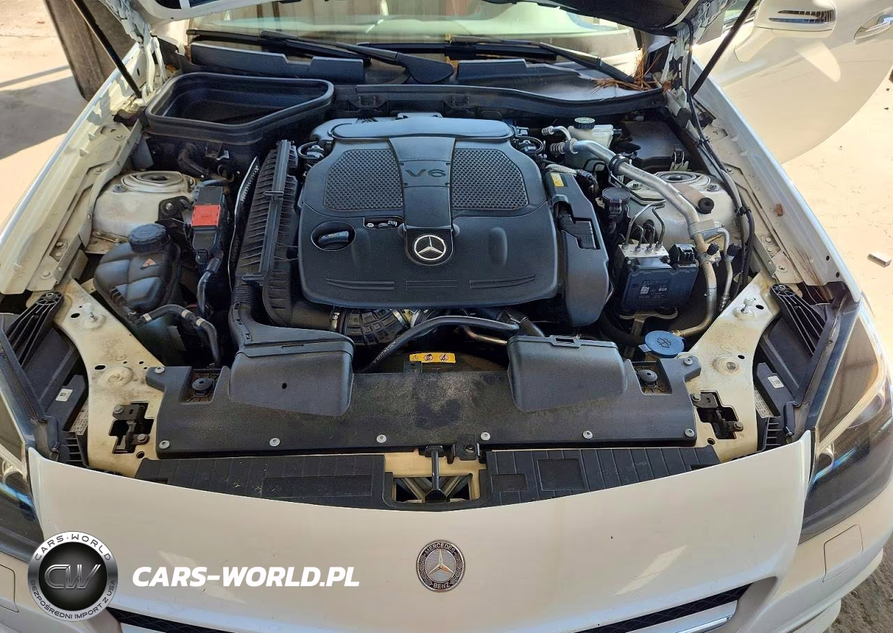2013 Mercedes-Benz Slk 350 VIN:WDDPK5HA3DF053688 - 11