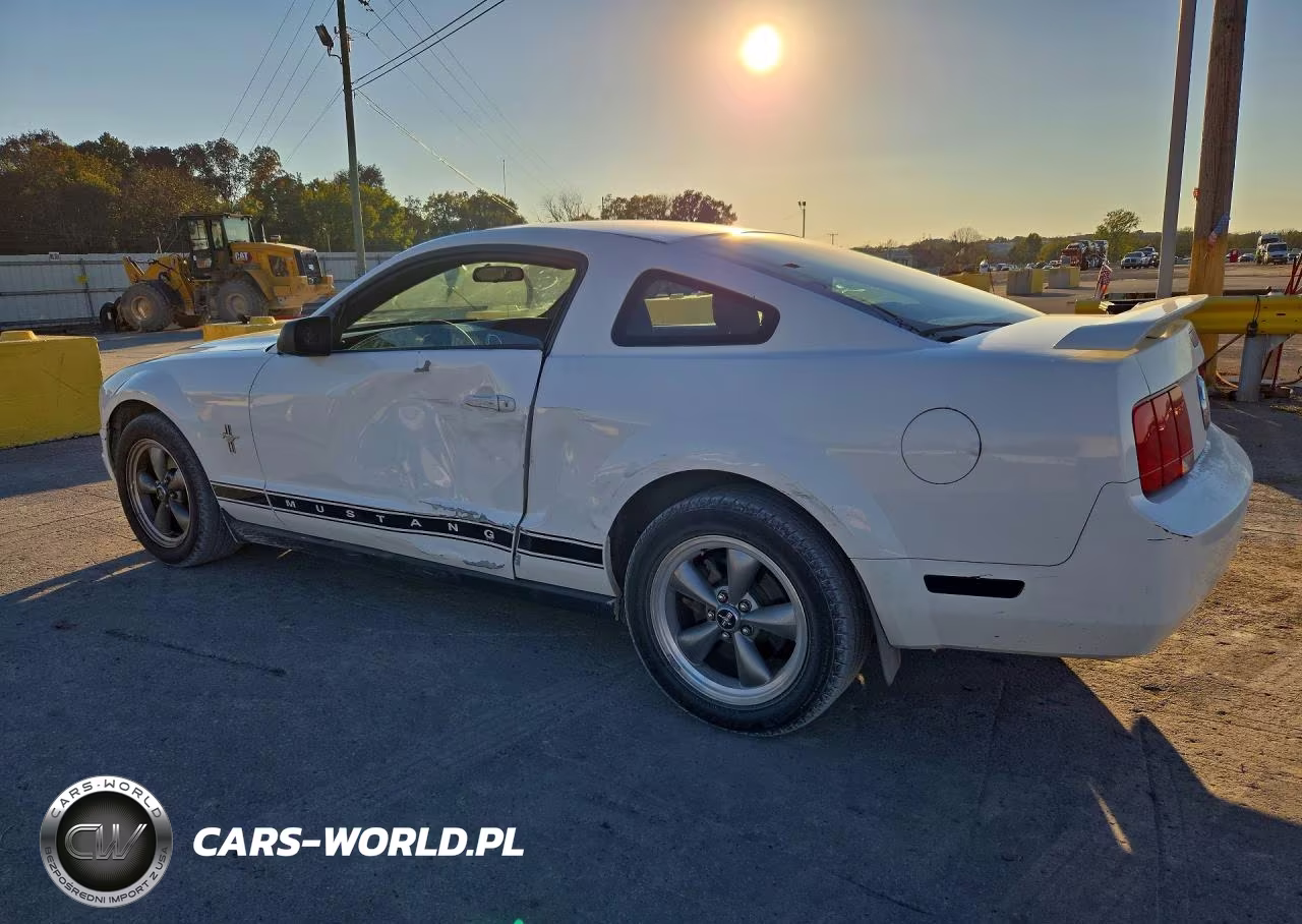 2006 Ford Mustang VIN:1ZVFT80N465190499 - 2