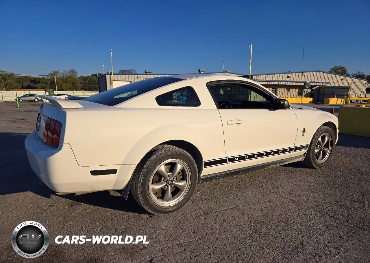 2006 Ford Mustang VIN:1ZVFT80N465190499 - 3