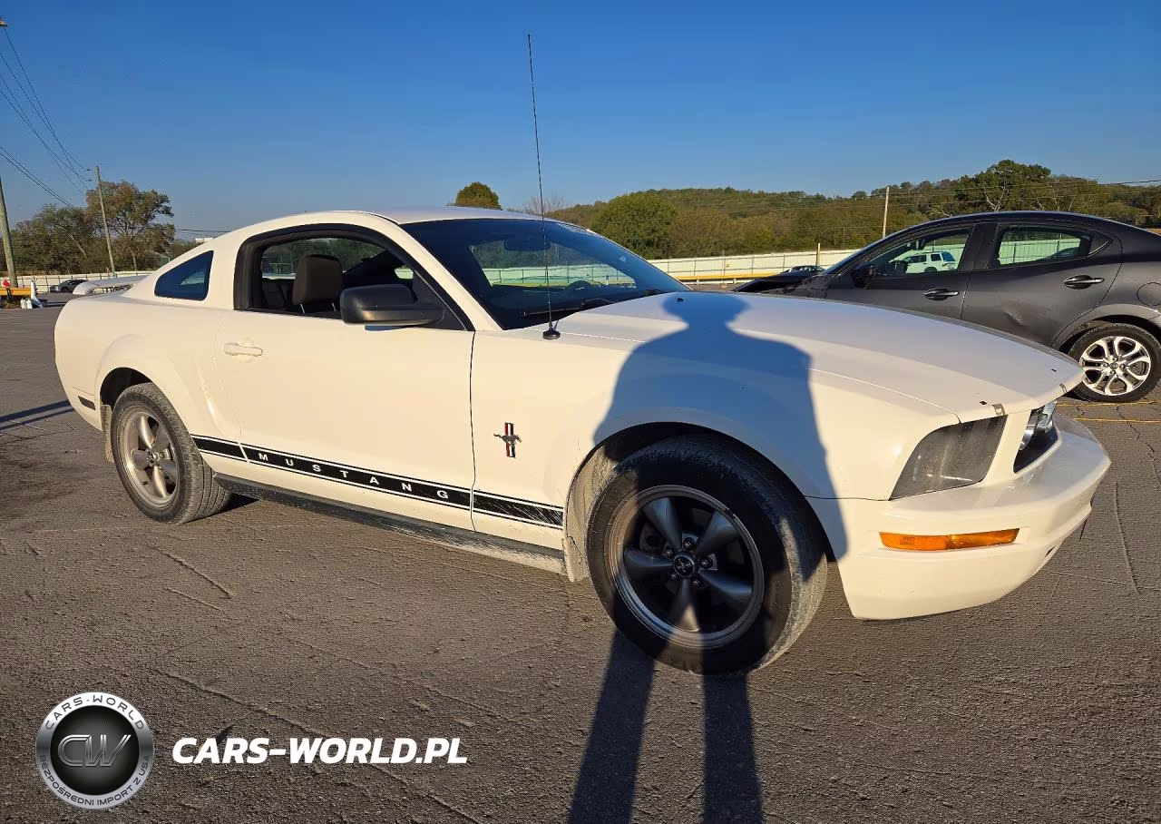2006 Ford Mustang VIN:1ZVFT80N465190499 - 4