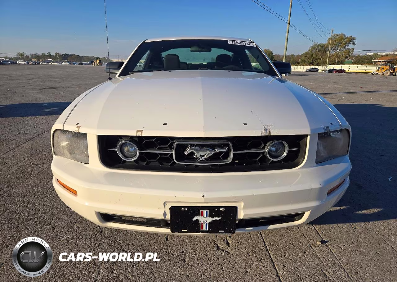 2006 Ford Mustang VIN:1ZVFT80N465190499 - 5