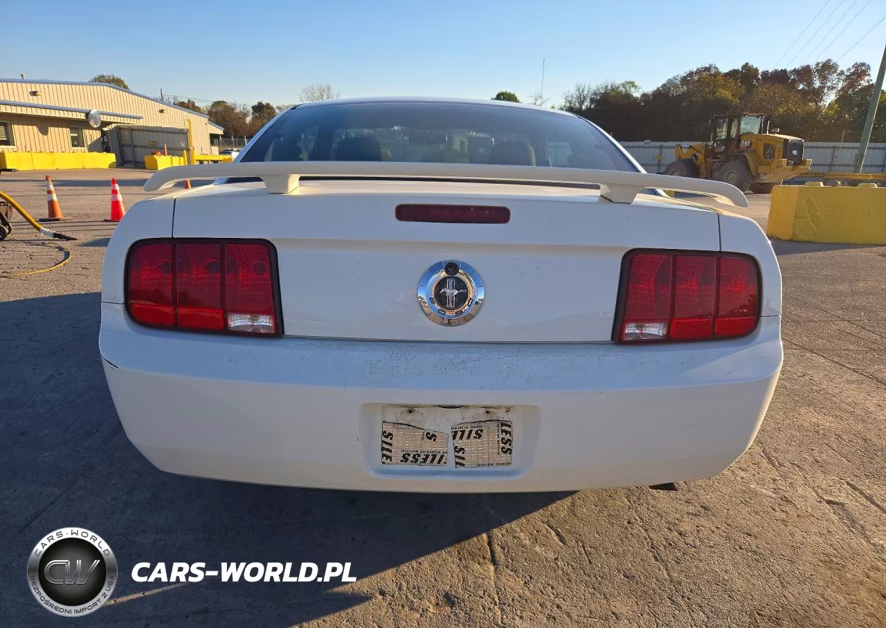 2006 Ford Mustang VIN:1ZVFT80N465190499 - 6