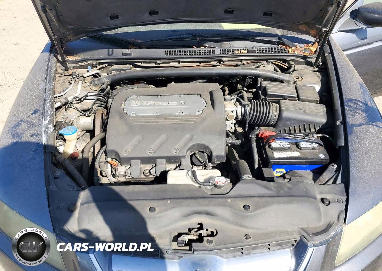 2004 Acura Tl VIN:19UUA66254A065809 - 11