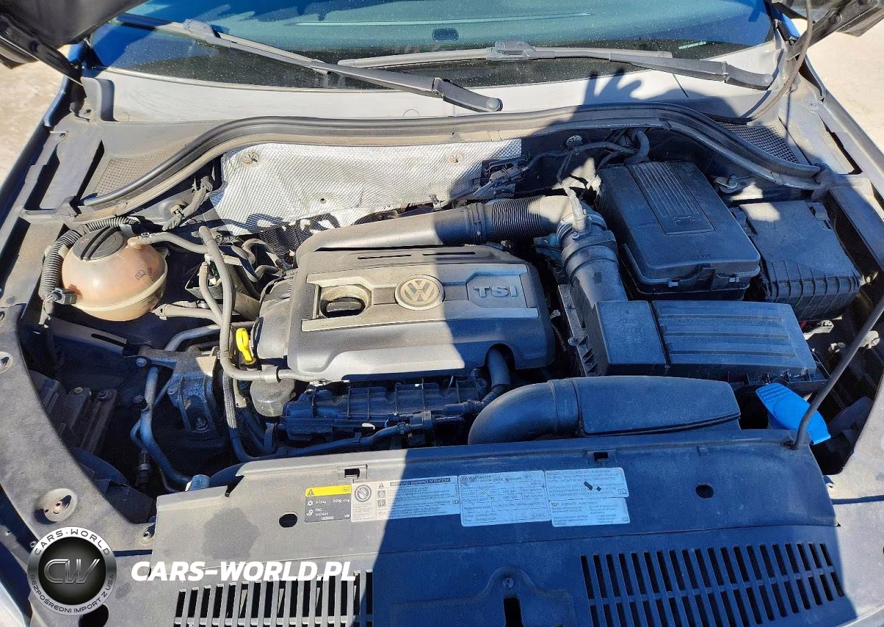 2014 Volkswagen Tiguan S VIN:WVGBV3AX9EW518518 - 12