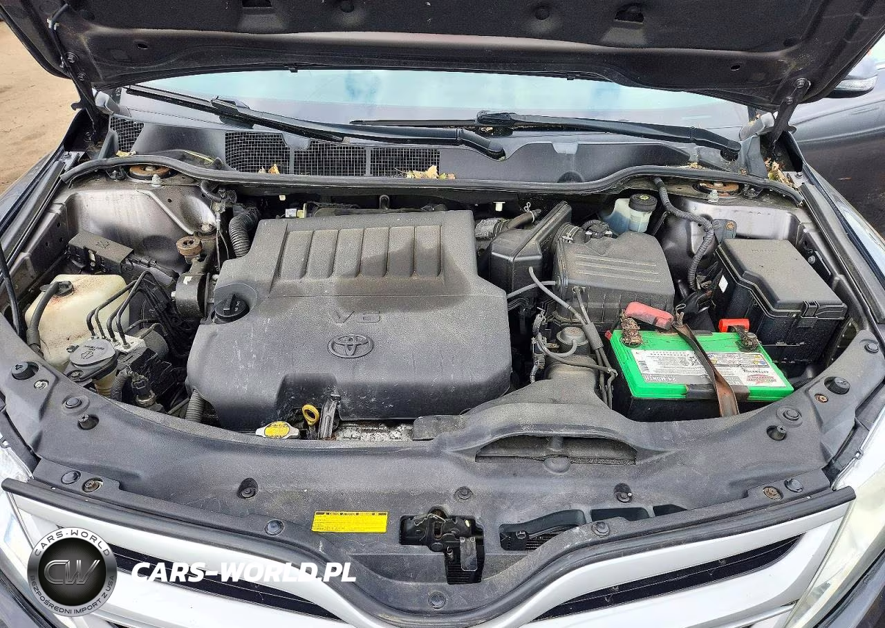 2013 Toyota Venza Xle VIN:4T3BK3BB1DU085998 - 11