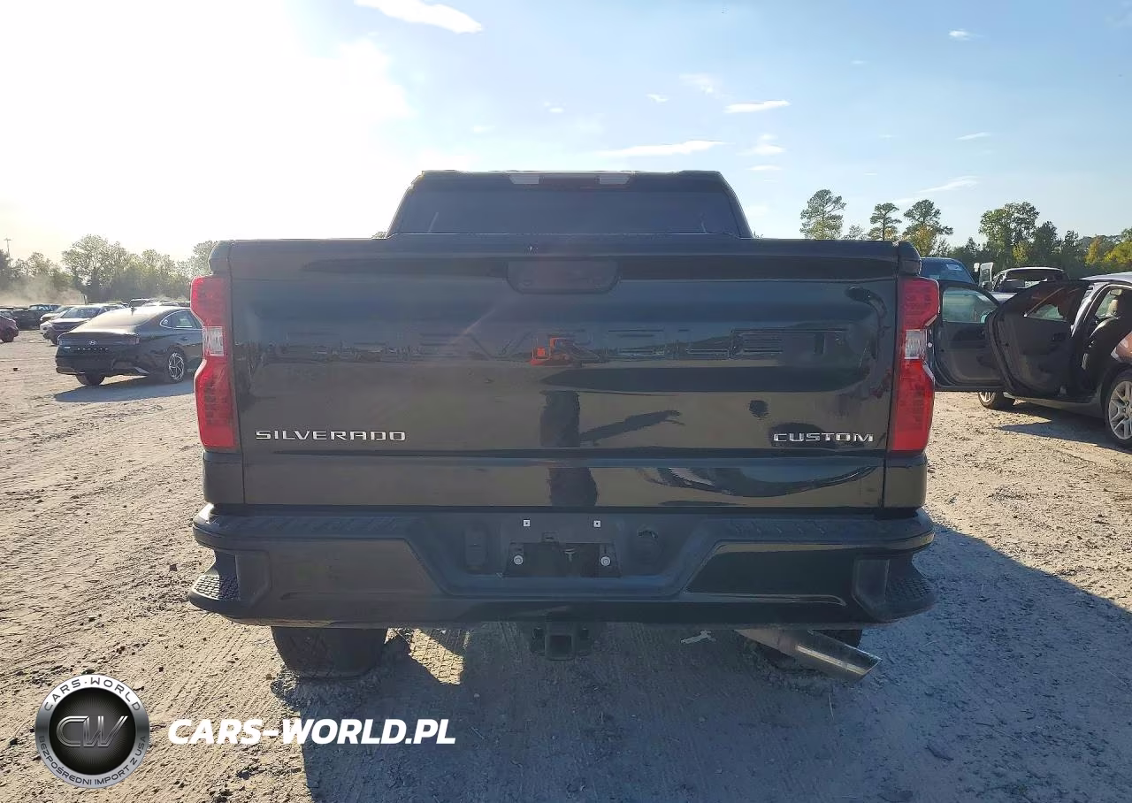 2023 Chevrolet Silverado K1500 Trail Boss Custom VIN:3GCPDCEK7PG295652 - 6