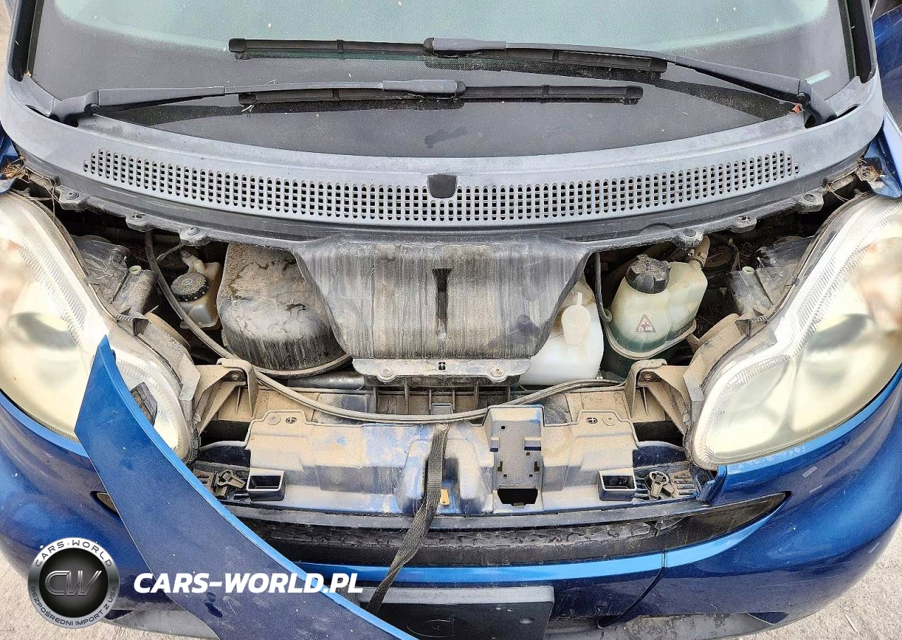 2009 Smart Fortwo Pure VIN:WMEEJ31X99K232843 - 11