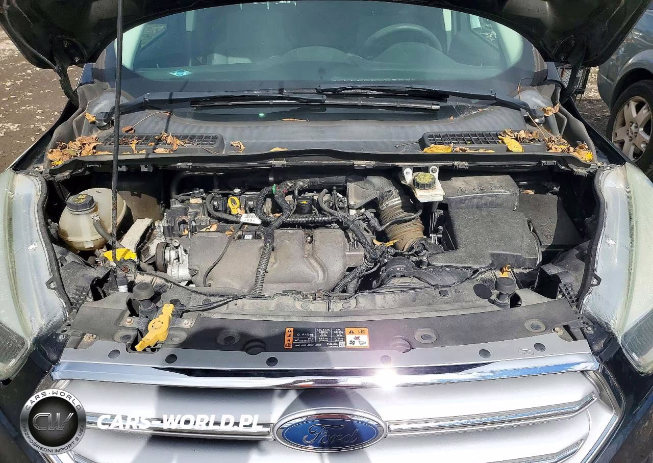 2017 Ford Escape Se VIN:1FMCU9G94HUB04212 - 12
