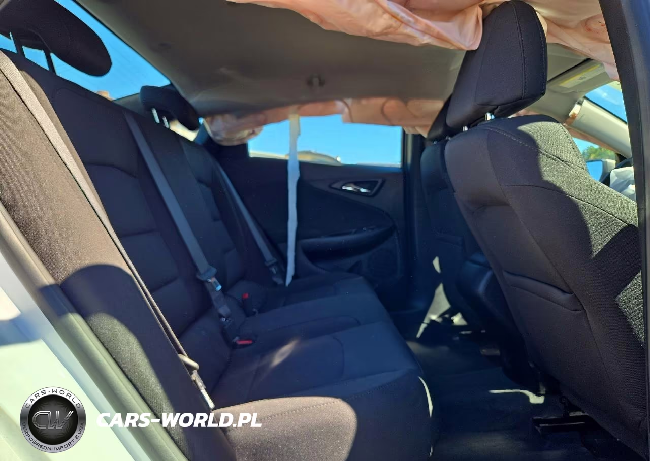 2019 Chevrolet Malibu Rs VIN:1G1ZG5ST9KF189120 - 10