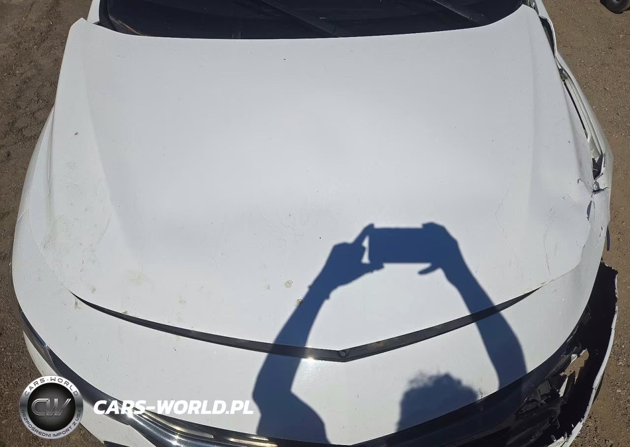 2019 Chevrolet Malibu Rs VIN:1G1ZG5ST9KF189120 - 11