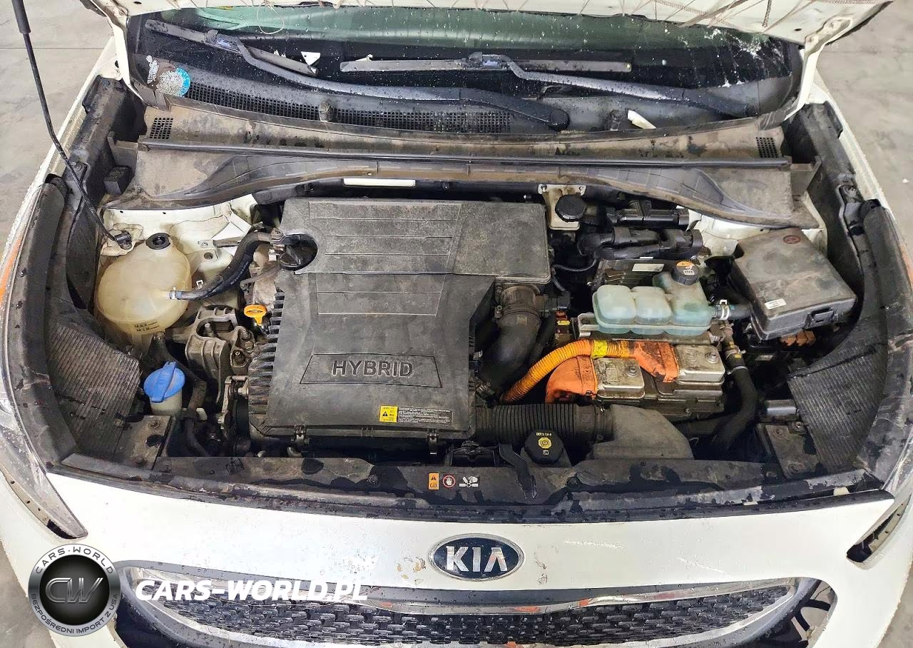 2019 Kia Niro Ex VIN:KNDCC3LC1K5343126 - 12
