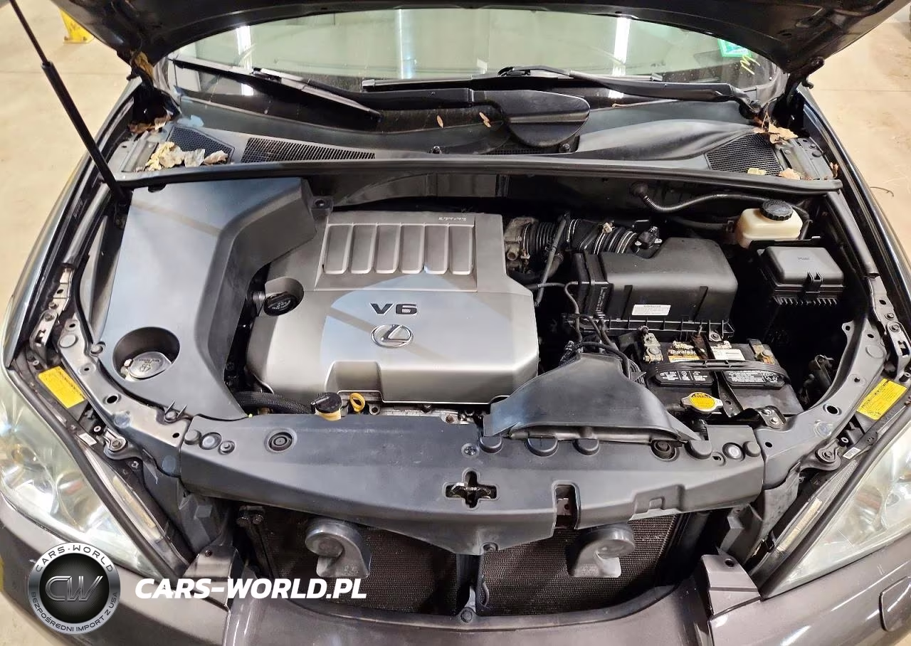 2009 Lexus Rx 350 VIN:2T2HK31U79C119954 - 12