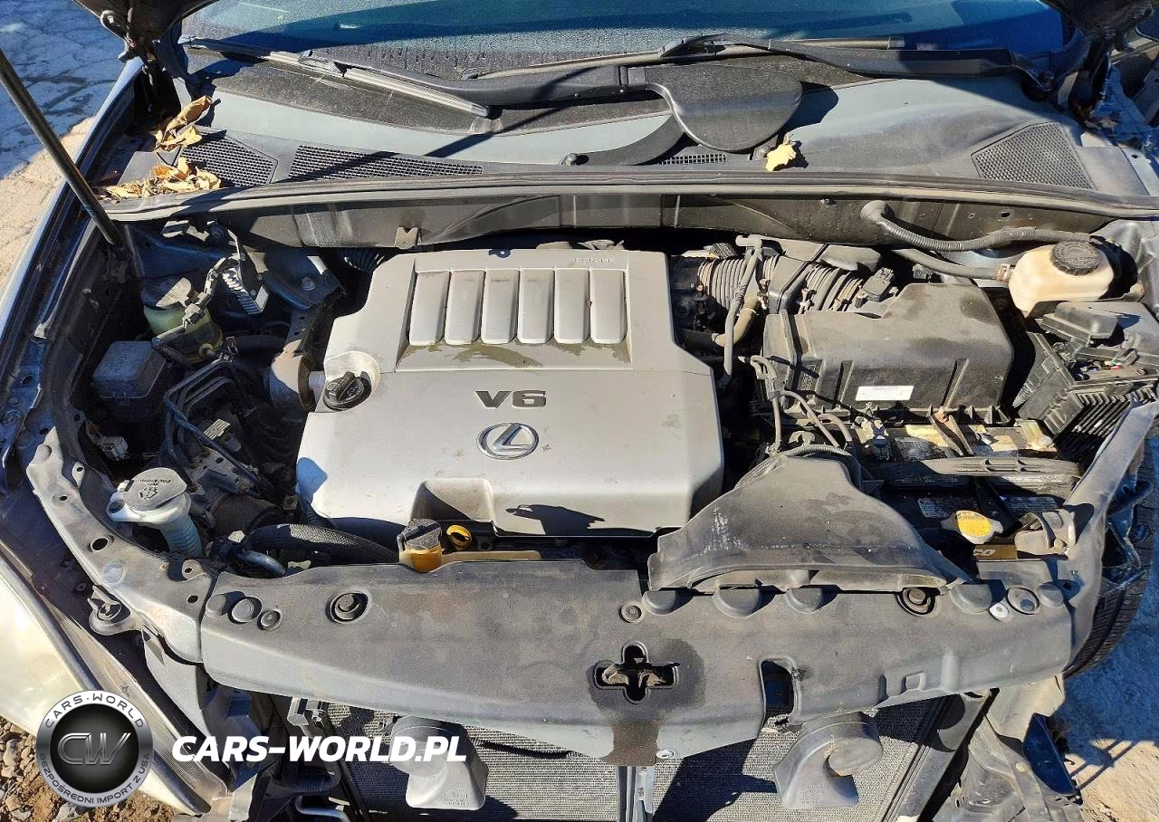 2007 Lexus Rx 350 VIN:2T2HK31U17C006028 - 12