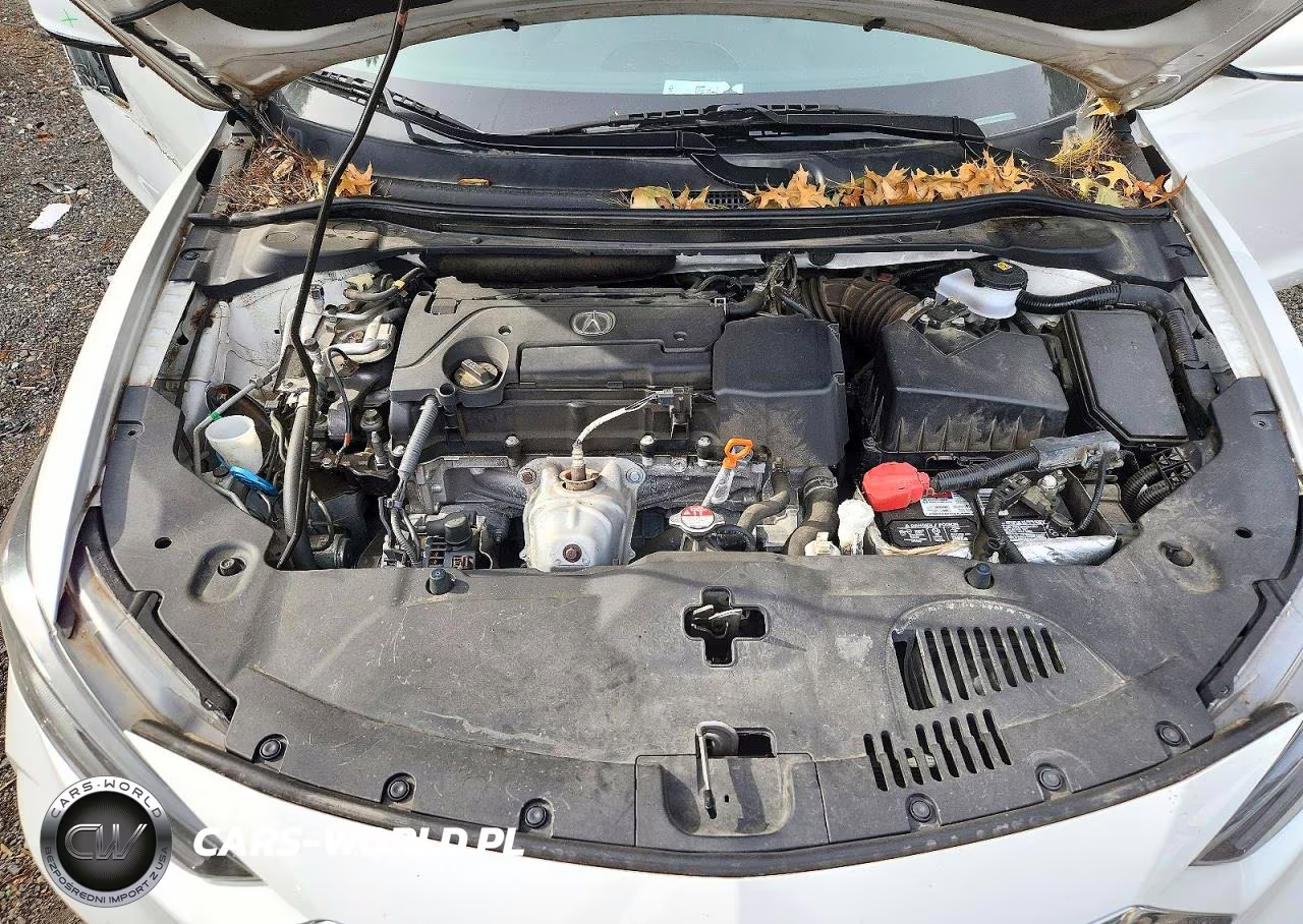 2019 Acura Ilx VIN:19UDE2F38KA002917 - 11