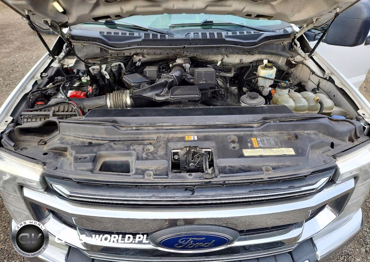 2021 Ford F250 Super Duty VIN:1FT7W2B64MED47639 - 11