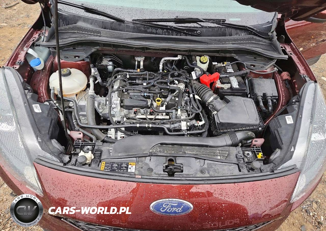 2021 Ford Escape Sel VIN:1FMCU0H62MUA63637 - 12