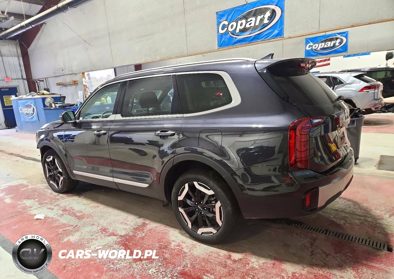 2025 Kia Telluride S VIN:5XYP64GC6SG688135 - 2