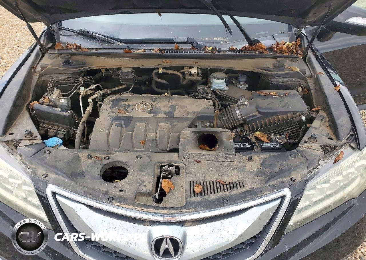 2017 Acura Rdx Advance VIN:5J8TB3H79HL002223 - 12