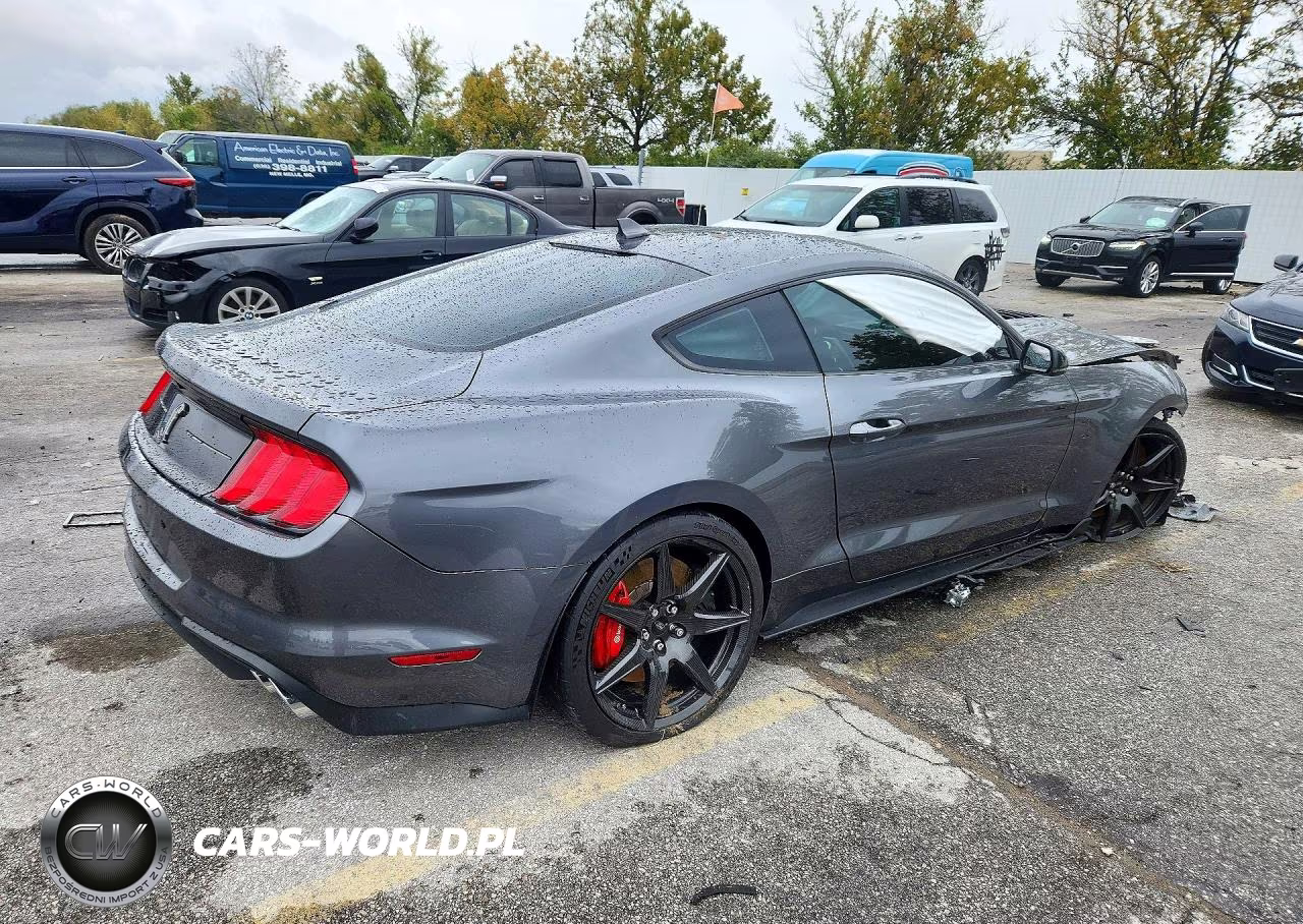 2021 Ford Mustang Shelby Gt500 VIN:1FA6P8SJ8M5502974 - 3