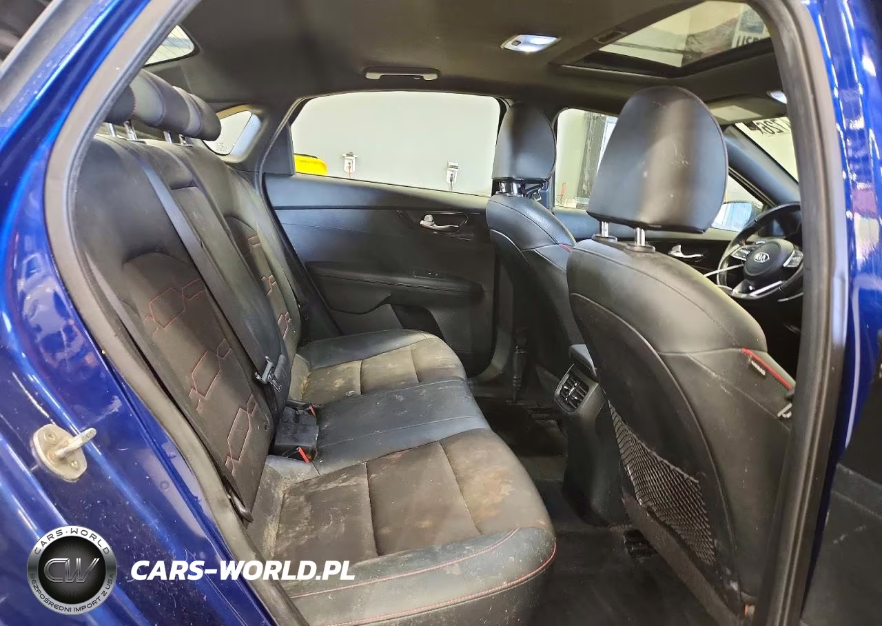 2020 Kia Forte Gt VIN:3KPF44AC0LE168568 - 10