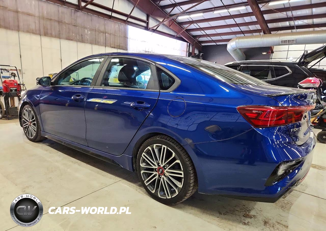 2020 Kia Forte Gt VIN:3KPF44AC0LE168568 - 2