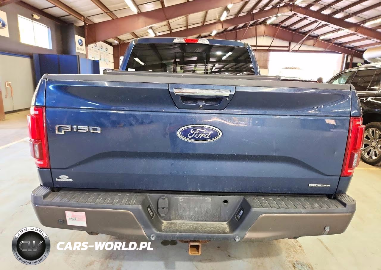 2016 Ford F150 Supercrew VIN:1FTEW1EF3GFC70533 - 6
