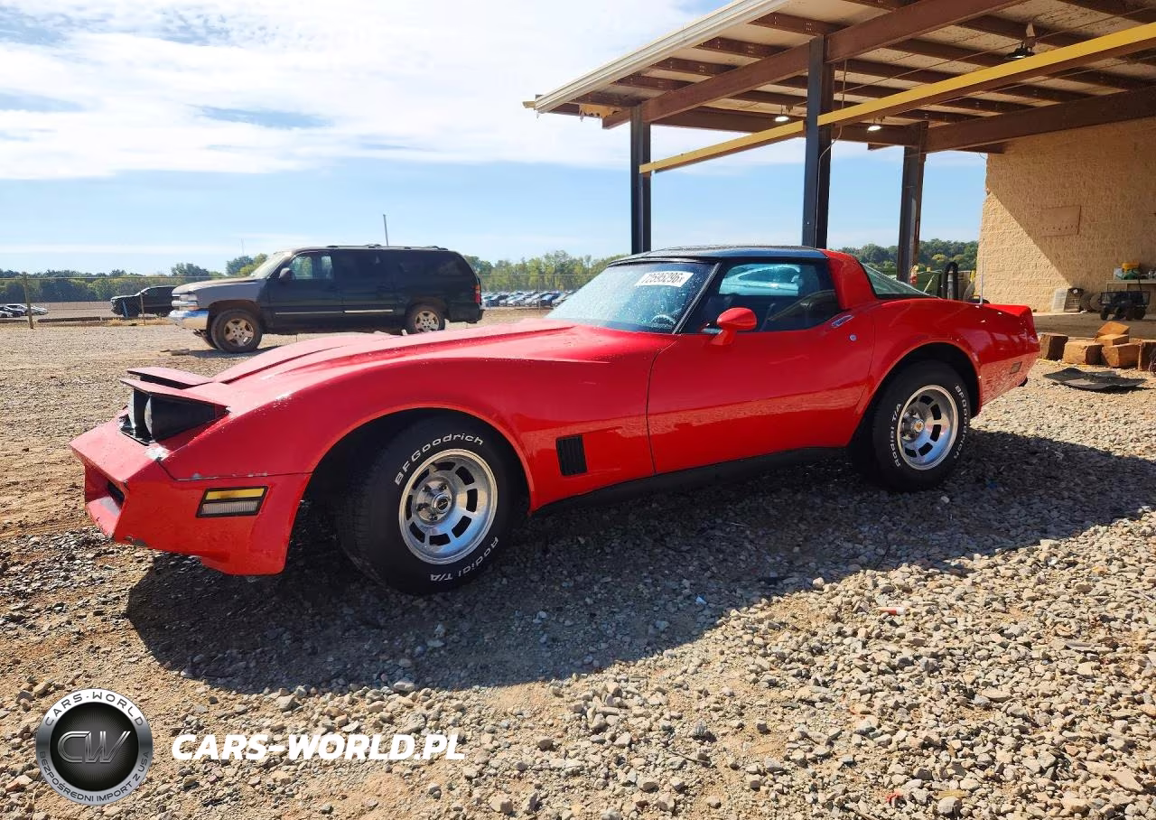 1981 Chevrolet Corvette VIN:1G1AY8761BS416970 - 1