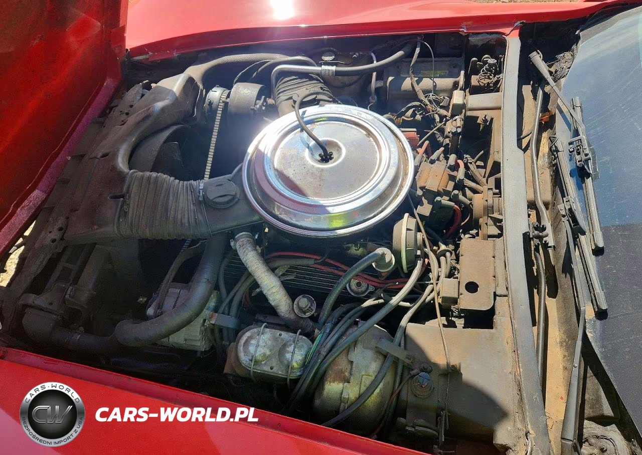 1981 Chevrolet Corvette VIN:1G1AY8761BS416970 - 11