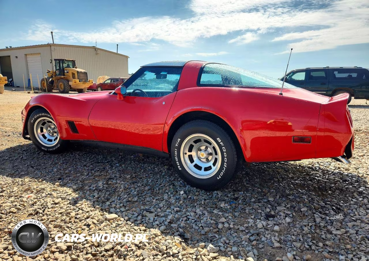 1981 Chevrolet Corvette VIN:1G1AY8761BS416970 - 2