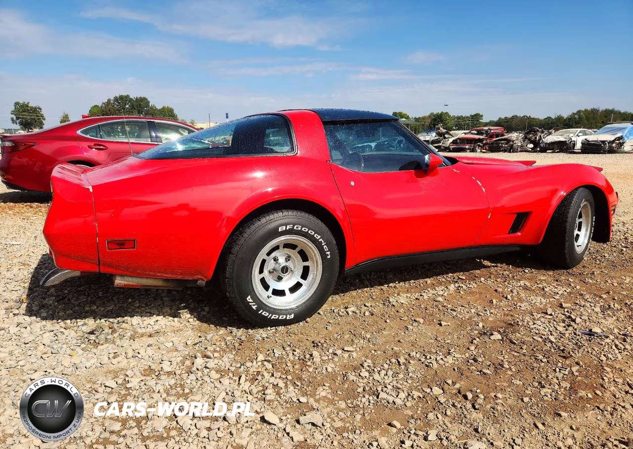 1981 Chevrolet Corvette VIN:1G1AY8761BS416970 - 3