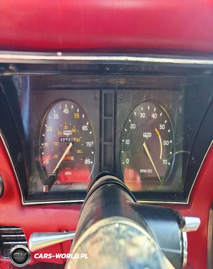 1981 Chevrolet Corvette VIN:1G1AY8761BS416970 - 9