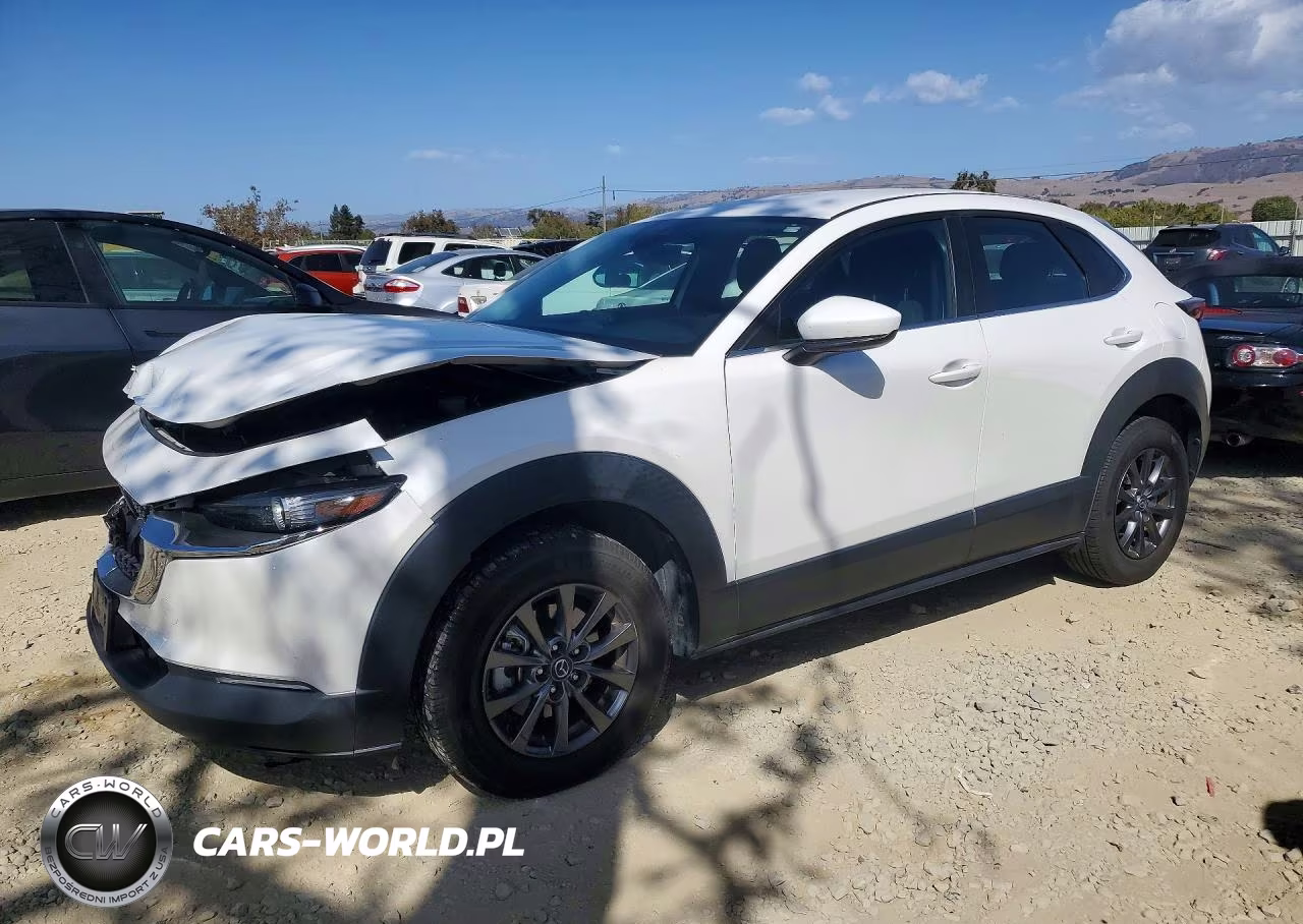 2020 Mazda Cx-30 VIN:3MVDMBBL0LM104576 - 1