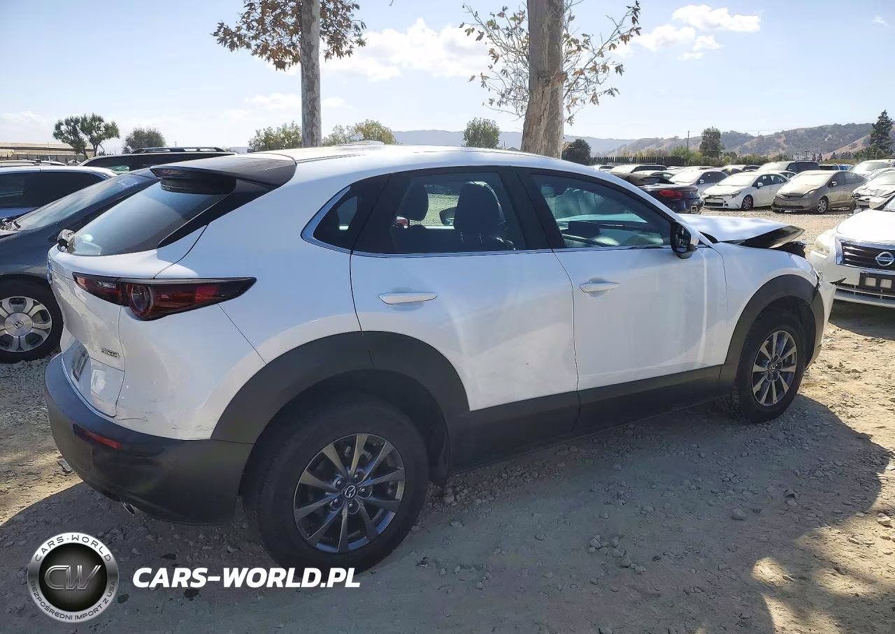 2020 Mazda Cx-30 VIN:3MVDMBBL0LM104576 - 3