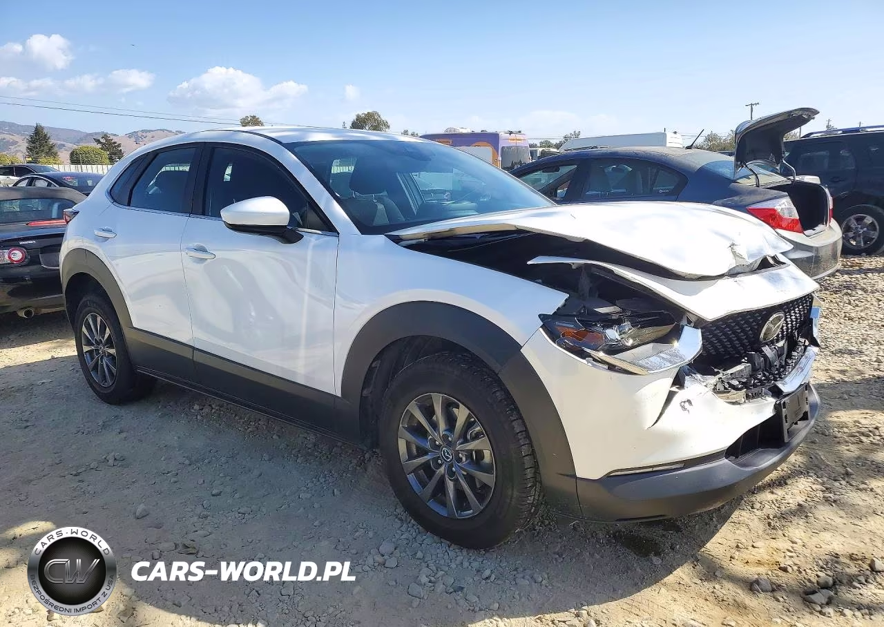 2020 Mazda Cx-30 VIN:3MVDMBBL0LM104576 - 4