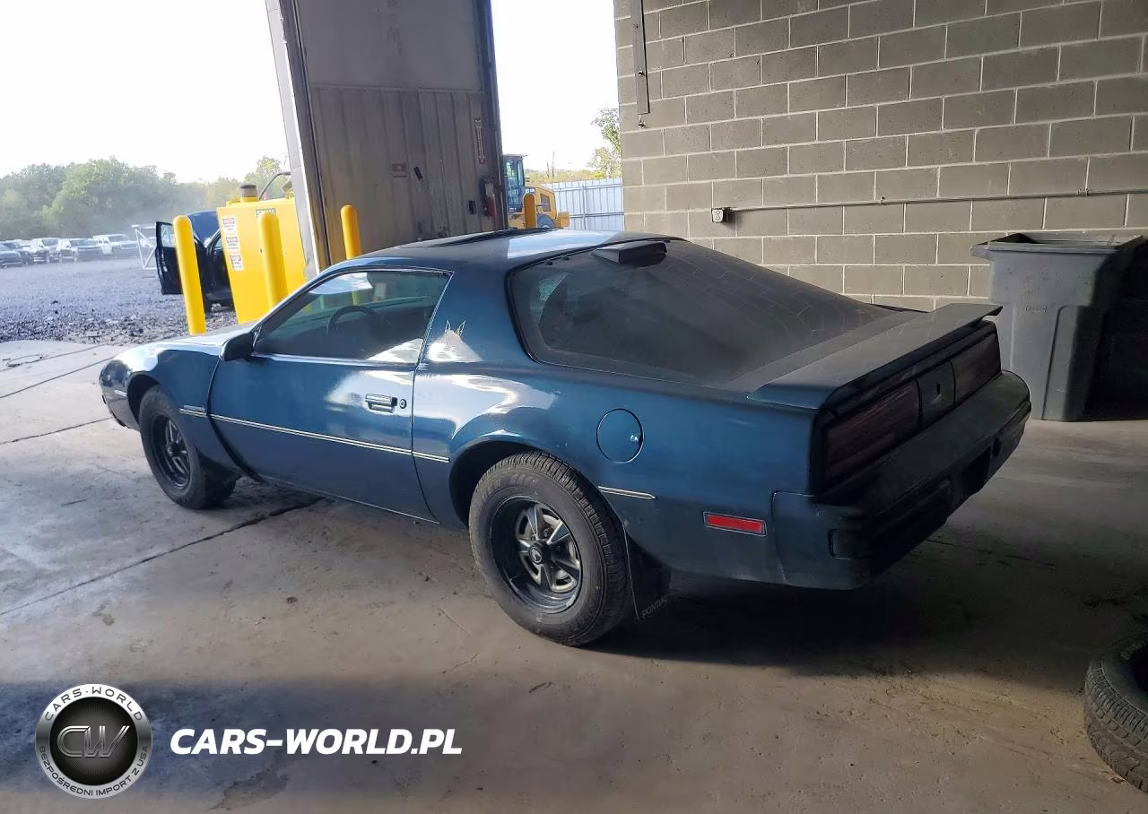 1986 Pontiac Firebird VIN:1G2FS87S2GL246345 - 2