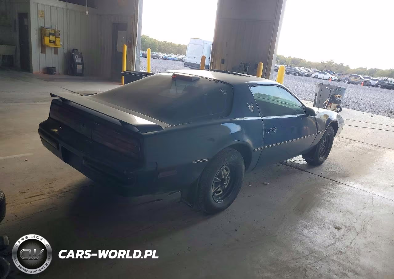 1986 Pontiac Firebird VIN:1G2FS87S2GL246345 - 3