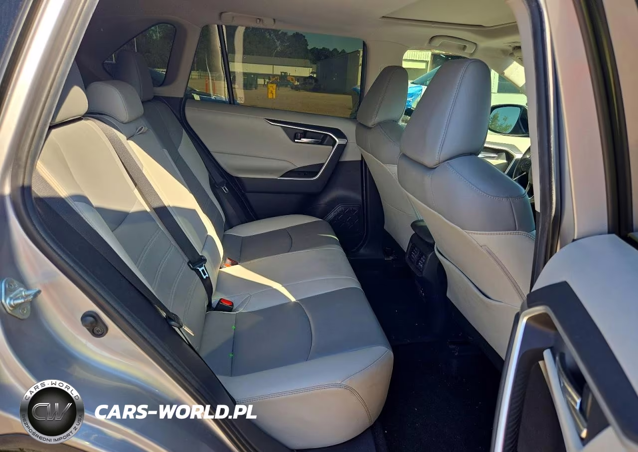 2019 Toyota Rav4 Xle Premium VIN:2T3C1RFVXKC027370 - 10