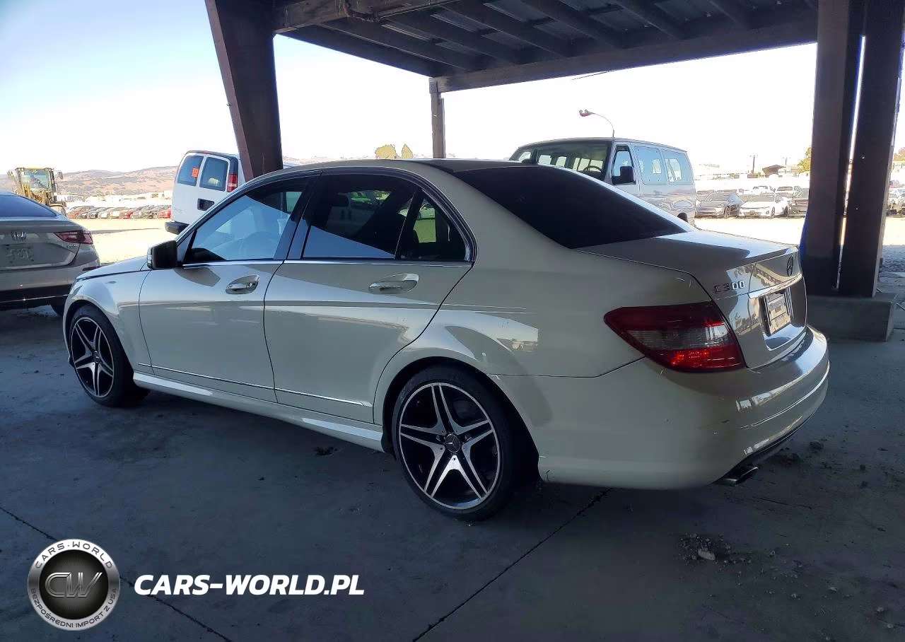 2010 Mercedes-Benz C 300 VIN:WDDGF5EB7AR111166 - 2